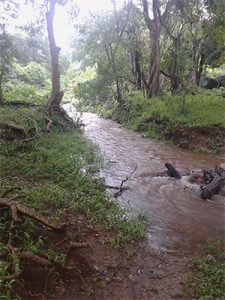 river January weather forecast