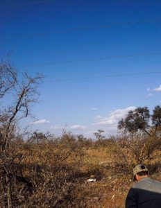 African-Hawk-Eagle